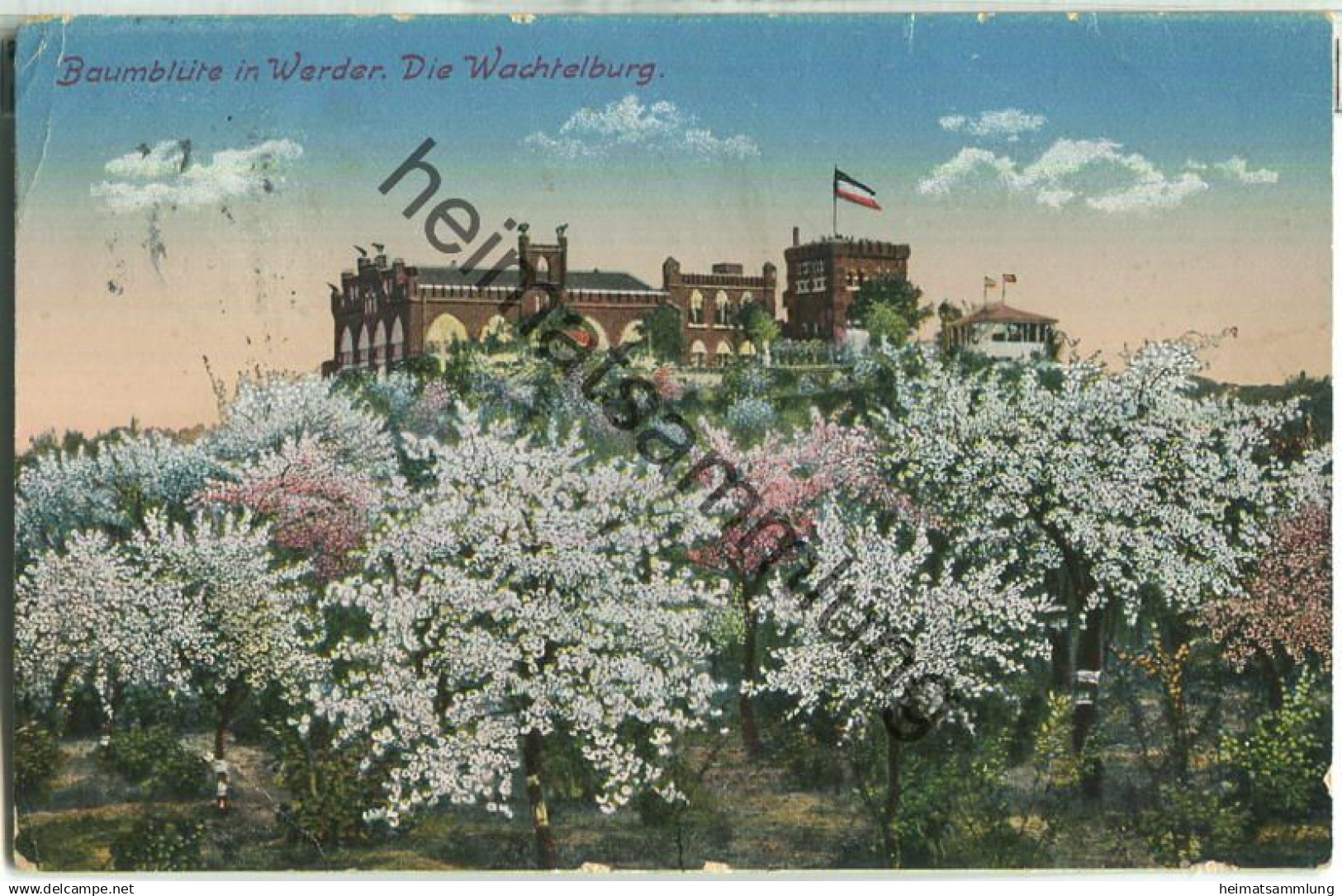 Werder - Wachelburg - Baumblüte - Verlag Johann Lindenberg Rathenow