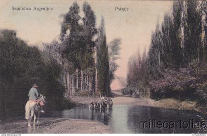 * ARGENTINA - Paisaje