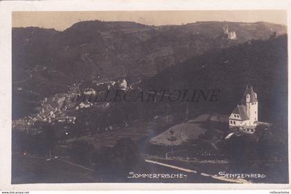 AUSTRIA - Sommerfrische, Senftenberg, Foto Postkarte