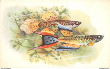 B27606 Poissons Fish  Russia