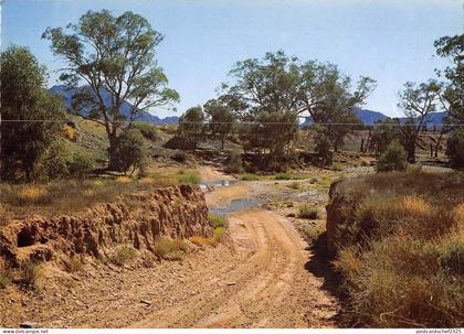 BR101934 flinders ranges south   australia