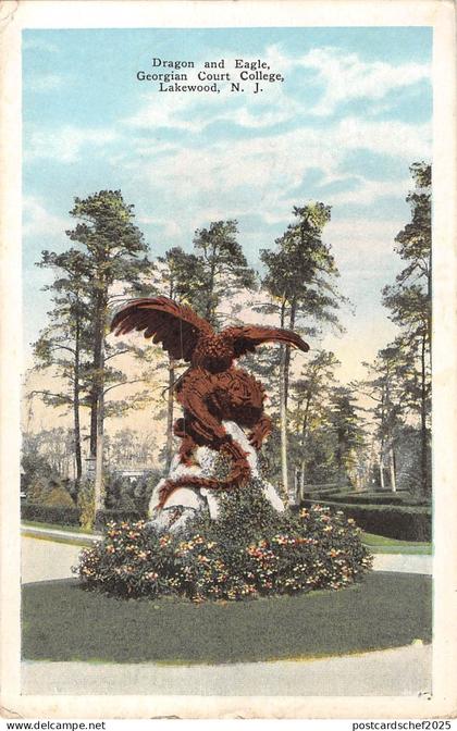 BR45346 Dragon and Eagle georgian court college lakewood usa