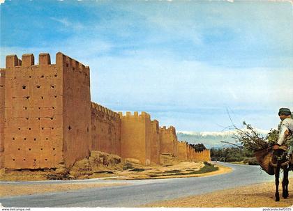BR49714 Touroudant agadir     Morocco