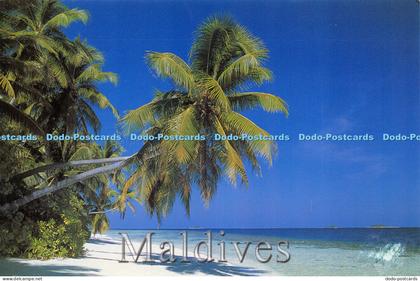 D014752 Maldives. Fayaz