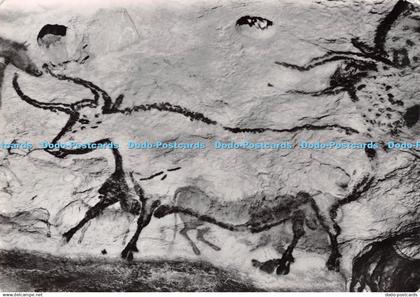 D031994 Montignac sur Vezere. Dordogne. Grotte de Lascaux. Grande Salle. Bovides