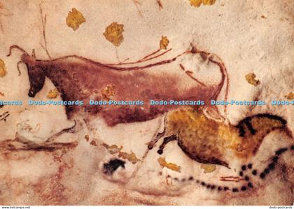 D043017 Montignac Sur Vezere. Dordogne. Grotte de Lascaux. Diverticule. Paroi Dr