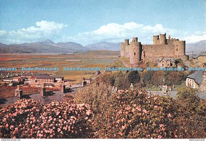 D117497 Harlech Castle. Merionethshire. Snowdonia National Park. Dixon