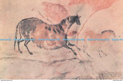 D128133 Montignac sur Vezere Dordogne Grotte de Lascaux Diverticule Axial Cheval