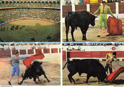 D138866 37 Corrida de Toros Fotos Carretero Multi View