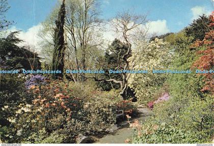 D139917 In North Garden Bodnant Denbighshire Dixon Wales 1713