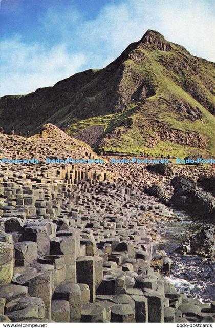 D193584 Giants Causeway Co Antrim Dixon