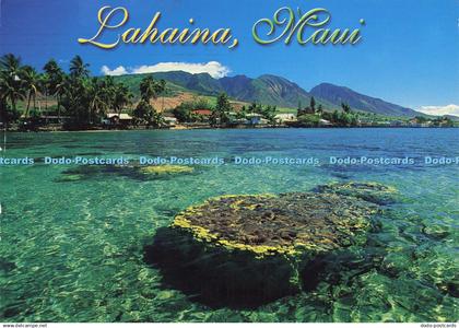 D194884 Memories of Maui Crystal Clear Waters off the Lahaina Shores The Islande