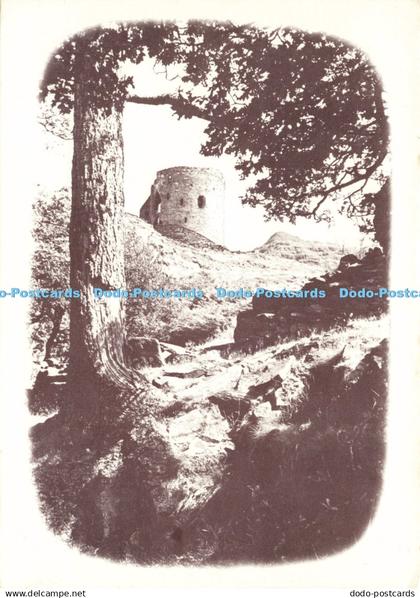 D198990 Dolbadarn Castle John Espenet Gwynedd 7