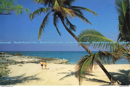 D202461 The Bahamas Bahamas Scenic Prints John Penrod