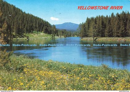 D222081 Wyoming Yellowstone National Park Yellowstone River Italcards Abi Garama
