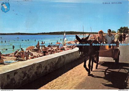 D223926 Cala Millor Fotos y Realizacion Flor de Almendro