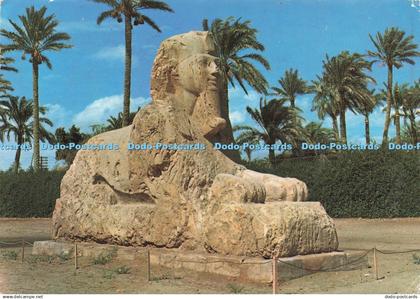 D224391 Giza The Sphinx of Sakkara