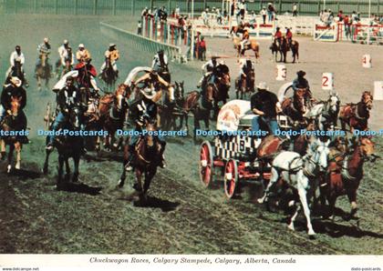 D225204 Canada Alberta Calgary Calgary Stampede Chuckwagon Races United News Ltd