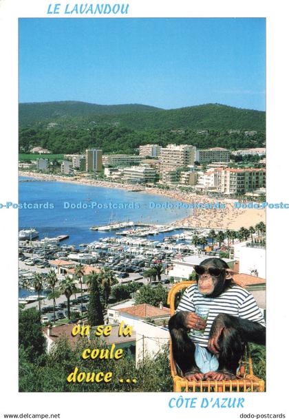 D235027 Le Lavandou Var Mistral