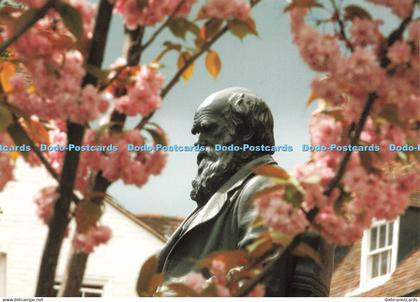 D241606 Shropshire Shrewsbury Shrewsbury Library Charles Darwin Statue Cath Tate