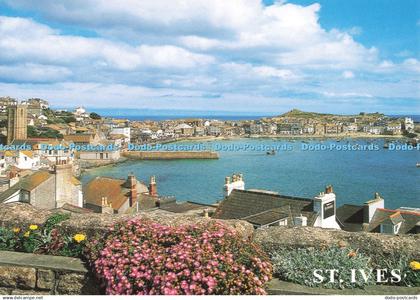 D253186 St Ives J Salmon
