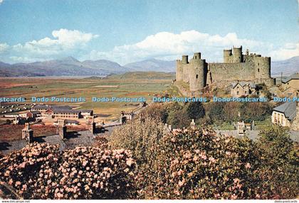 D255146 Merionethshire J Arthur Dixon 1966