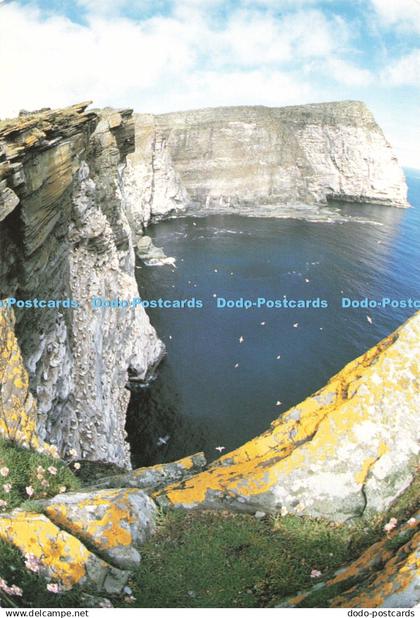 D255924 Shetland Noup Of Noss Charles Tait Nevisprint