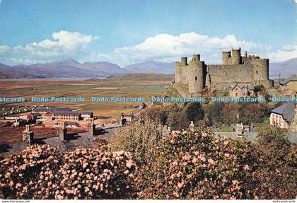 D261763 Merionethshire Harlech Castle J Arthur Dixon