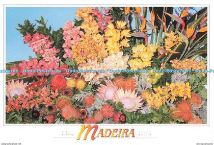 D263548 Madeira Flores Tipicas de Madeira Dima Joao Pestana