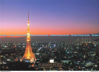 D267061 Tokyo Tower and Tokyo Night View Japan