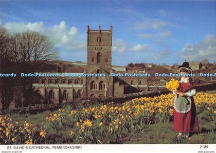 D284849 Pembrokeshire St David Cathedral Pembrokeshire Eye Postcards Ltd