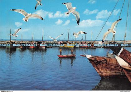 D293428 Kuwait. Harbour of Pearl Fisher Fleet