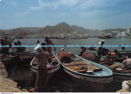 D294970 Sultanate of Oman. Fishermen in Muttrah Harbour. Family Bookshop Oman. L