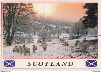 D296193 Scotland. Whiteholme. Dundee. Gordon Henderson. 1998