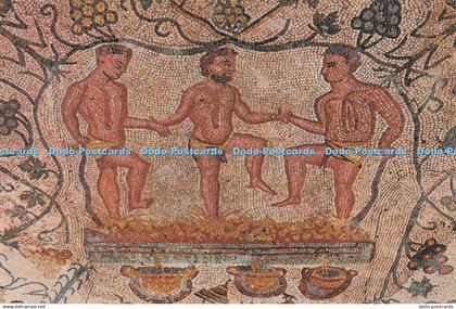 D296617 Merida. Badajoz. House of the Amphitheatre Mosaic Tread of the Grape. Co