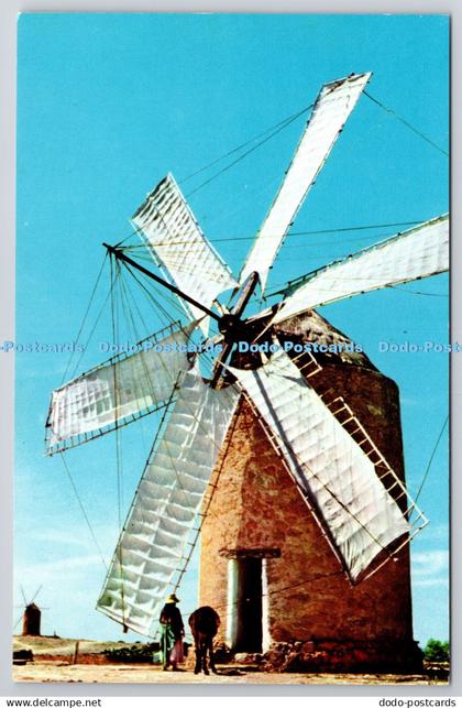 D306877 Formentera Baleares Mill Campana Libreria Verdera Ibiza