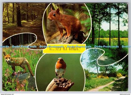 D310219 Groeten uit Geldrop Birds Squirrel Fox Forest Multi View
