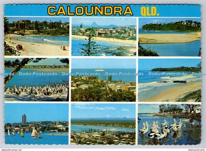 D315452 Queenslands Sunshine Coast. Caloundra. Bernard Kuskopf. Woombye. N. 165.