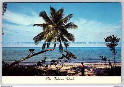 D318610 Bahama Islands. Ronald Lightbourn. Calypso Distributors. Plastichrome. C
