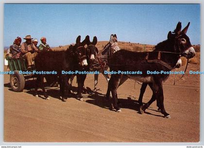 L341589 Donkey Express Namibia H W Theiss