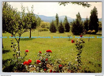 L344250 Centre de Geriatrie Ste Therese Le Beausset Son Parc Aris