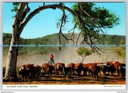 L349016 Australia An Outback Cattle Scene John Hinde Biscay Greetings E Ludwig