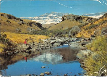 Lot100 drakensberg natal south africa