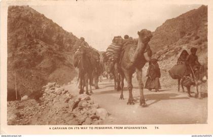 Lot142 real photo pakisan a caravan on way to peshawar from afganistan camel