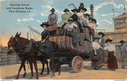 Lot182 hauling cotton and louisiana sugar new orleans la usa types carriage
