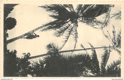 lot405 Caroline island New Philippines carolines  	Micronesia