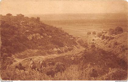 lot407 Palestine Palestina the plain of jezreel israel