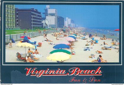 Lot99  usa virginia beach sun and surf