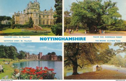 PC50533 Nottinghamshire. Multi view. Dennis