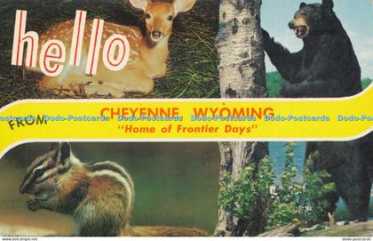 R007771 Cheyenne Wyoming Home of Frontier Days Dexter